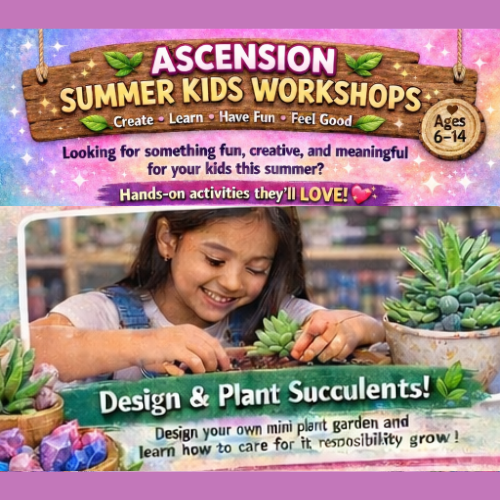 Design/Plant a Succulent - Summer Workshop | Week 2