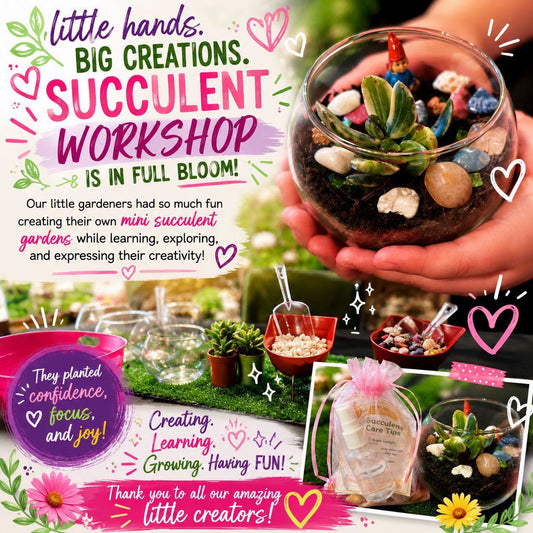 Design/Plant a Succulent - Summer Workshop | July 20