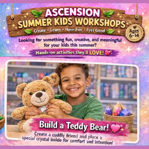 Build a Teddy Bear - Summer Workshop | Week 4
